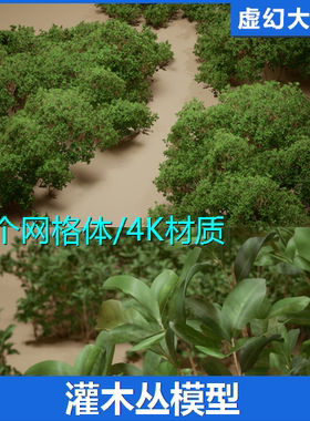 UE5.1+ Foliage VOL.9 - Coyote Bushes 灌木丛植物模型素材景观