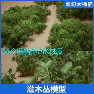 Bushes UE5.1 Coyote VOL.9 灌木丛植物模型素材景观 Foliage