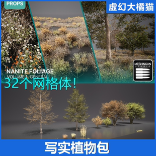 虚幻UE5.1 Foliage Vol1 写实植物模型树木灌木枯野草野花 Nanite