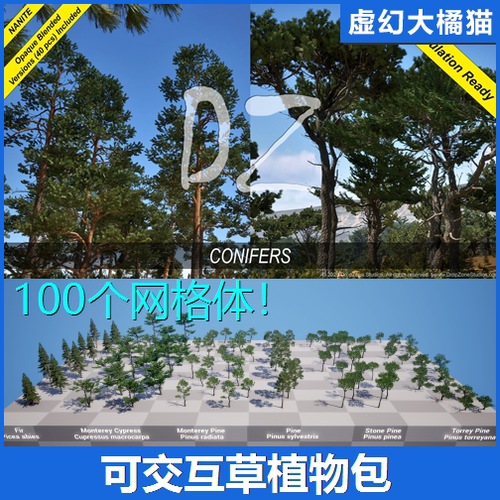 虚幻UE5 DZ Trees Conifers  针叶树松树柏树冷杉 植物树木模型