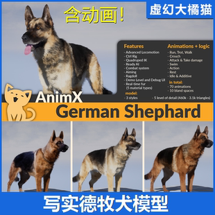 Shepherd写实德牧犬狗角色含68个动画NPC German UE4虚幻5 AnimX
