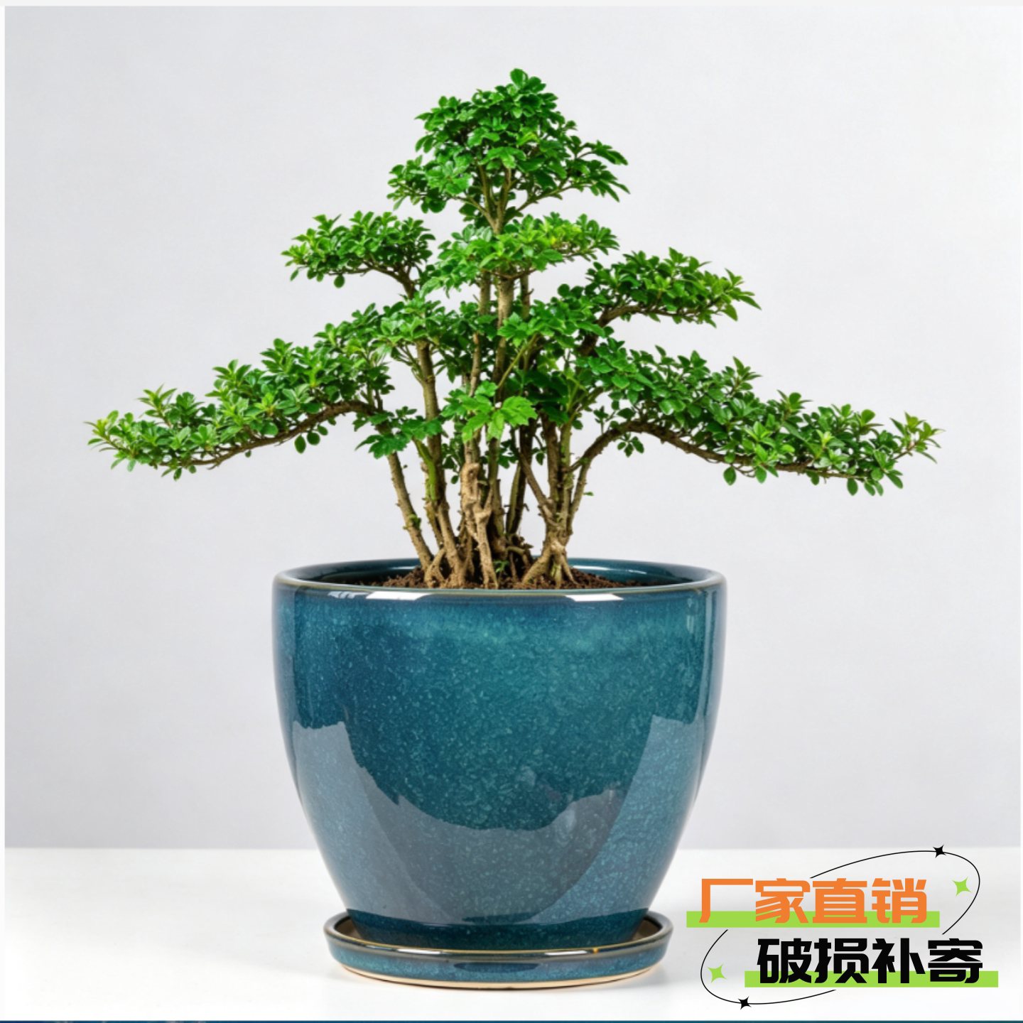 花盆陶瓷特大号带托盘中国风加厚室内植物绿萝多肉蝴蝶兰清仓家用