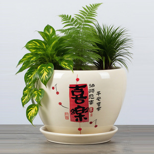 乡陶瓷趣中式书法陶瓷花盆圆形大容量室内蝴蝶兰绿植盆栽带陶托盘