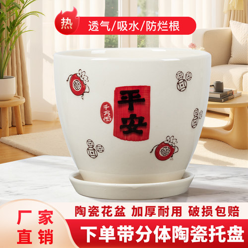 奶油风轻奢蝴蝶兰专用陶瓷花盆