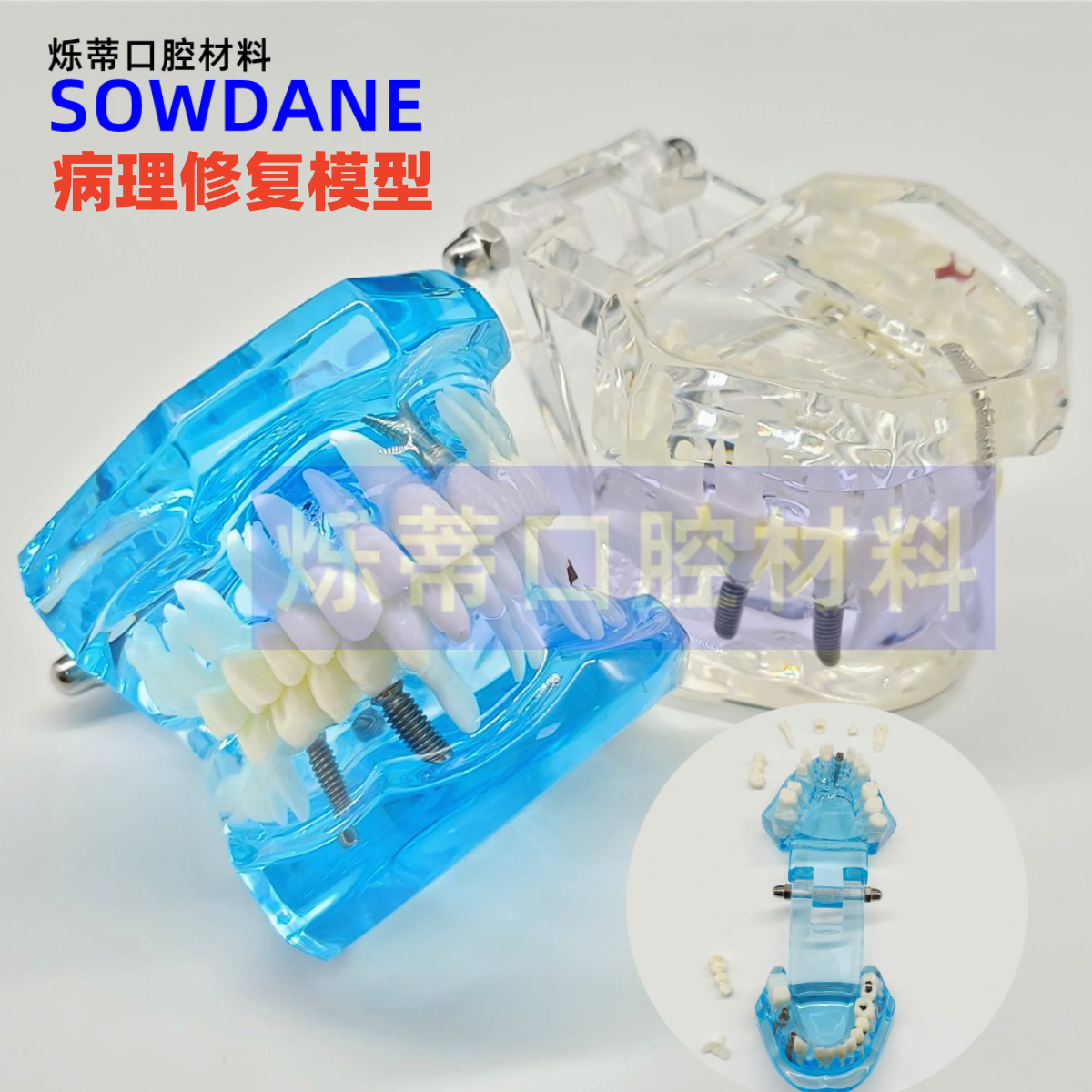 牙科牙模病理齿科耗材