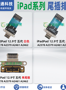 适用iPadPad12.9寸五代A2378 A2379 A2461 A2462尾插排线充电接口