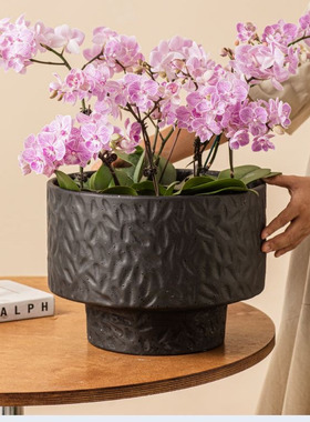 陶瓷蝴蝶兰专用高端花盆家用客厅轻奢高级北欧黑色大号口径套花盆