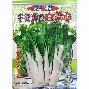 白菜 好吃菜心 高产秋播菜籽20克 蔬菜种子 秋播特靓甜白菜心种子