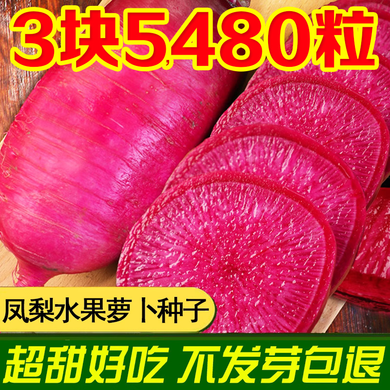 凤梨水果萝卜种籽四季甜脆超甜红心凤梨水果萝卜种子大全春秋冬季