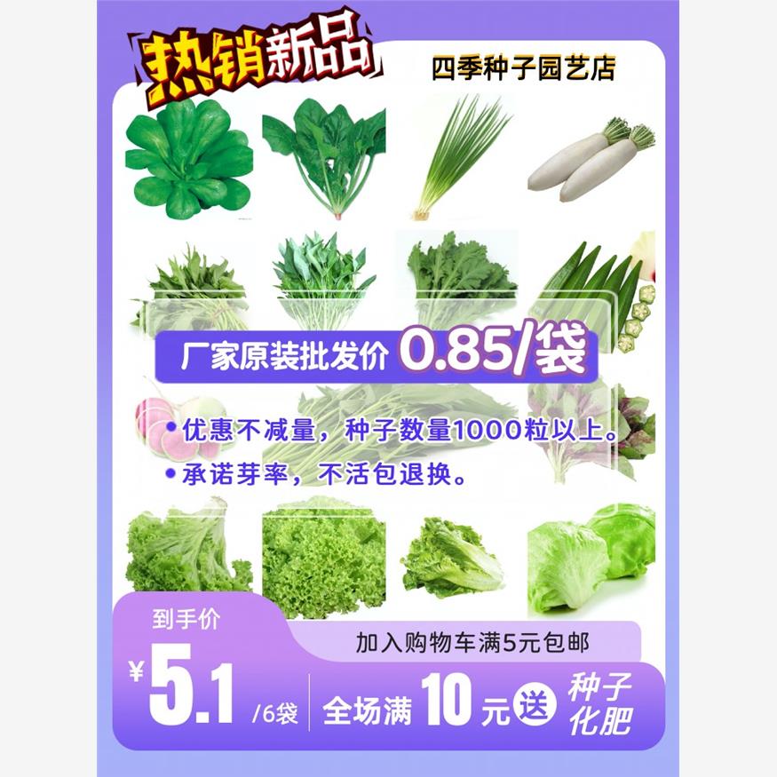 四季播种各种蔬菜种子大