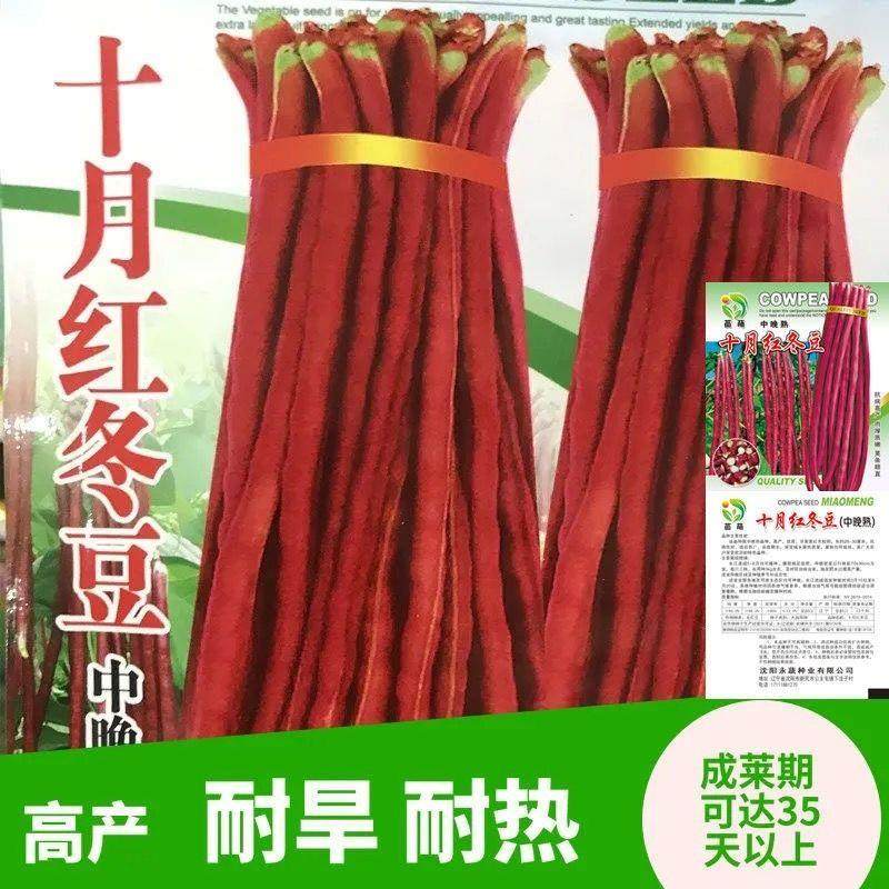 十月红豆角种子特长红豇