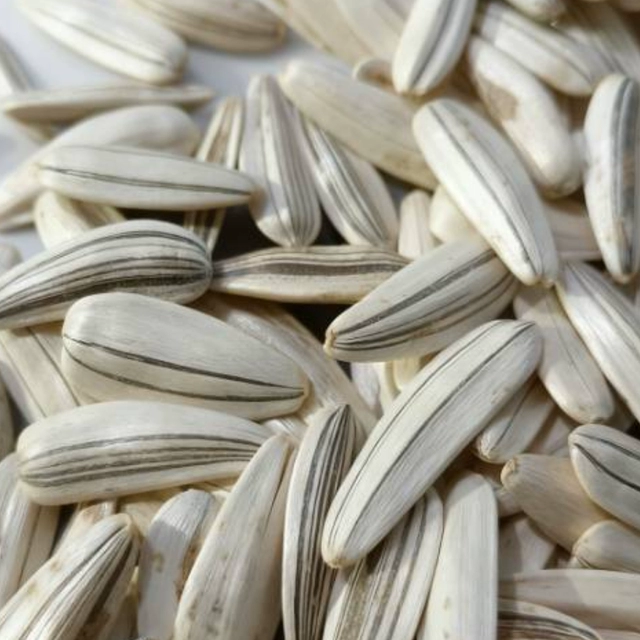 2025年新老磕葵三道眉葵花籽生瓜子皮薄肉厚散装张家口特产香瓜子