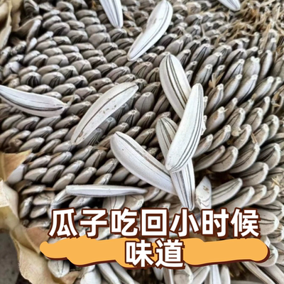 2025新鲜老磕葵三道眉葵花瓜子零食瓜子带壳葵花籽原味向日葵狼牙