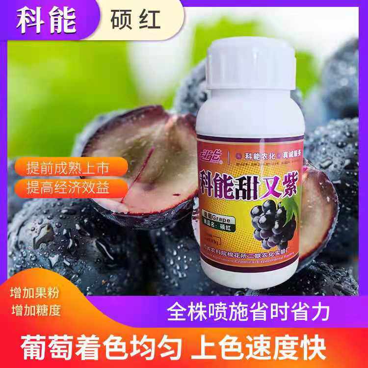 科能甜又紫 硕红 葡萄着色均匀增果粉增甜度增产早上市巨峰葡萄