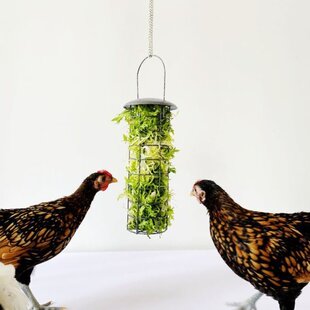 Chicken Feeder Basket Vegetable Fruit Veggie Hanging Coop He