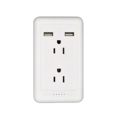 US Wall Panel Outlet with Dual USB Charger Electrical Socket