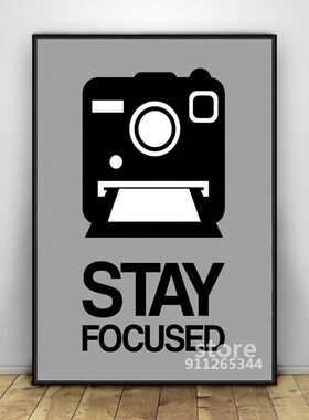 Stay Focused  Camera Poster 1 Wall Canvas Decoratio