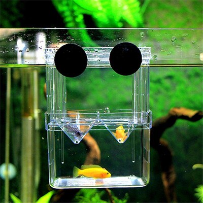 Hygienic Durable Fish Breeding Boxes Double Hatching Incubat