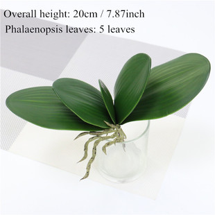1pc Artificial Plants Real Touch Phalaenopsis Leaf Decorativ