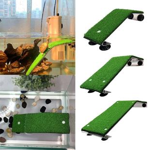 Tortoise Terrace Lifelike Floating Platform Calcium Suppleme