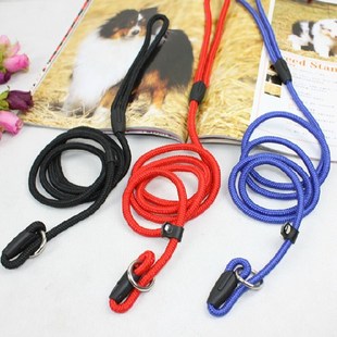 Training Pet Nylon Strap Adjust Slip New Leash Rope Dog Lead