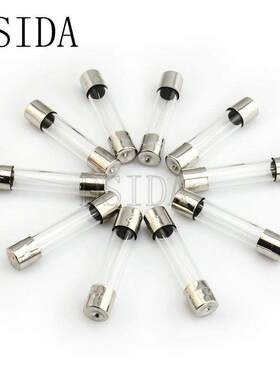 10pcs/lot Glass Tube Fuse 5*20mm 6*30mm 250V 0.5A 1A 2A 3A 3