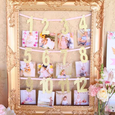 Gold/Pink Milestone Photo Banner Boy Girl 1 12 Month Photo