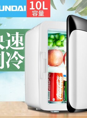 Small 10L Refrigerator Mini Fridge Freezer Cold Box For Car