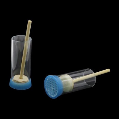 Queen Bee Labeled Bottle Beekeeping Equipment Fertility Quee