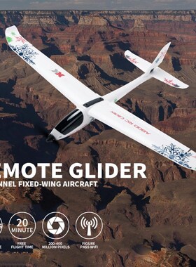 A800 Stabilization RC Airplane 5CH 780mm 3D6G System Model