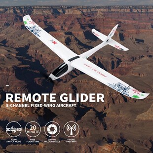 A800 Stabilization RC Airplane 5CH 780mm 3D6G System Model