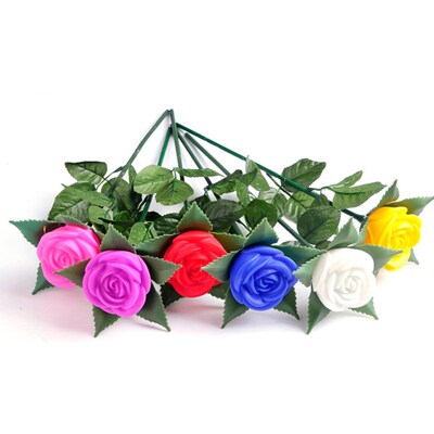Rose Romantic Outdoor Yard Garden Path Way Tulip Bar Landsc