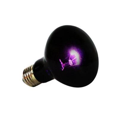 Reptile UVA Heating Lamp Climbing Pet Lizard Tortoise Heat L