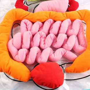 Educational Insights Toys For Children Anatomy Apron Human B