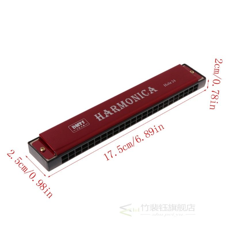 Professional 24 Hole Harmonica Key of C Mouth Metal Organ fo