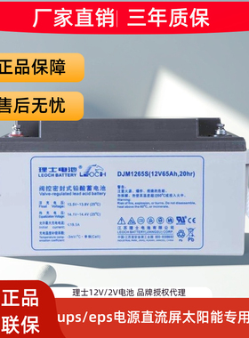 【咨询领券】理士蓄电池DJM12100S/UPS电源直流屏专用12V100AH/2V