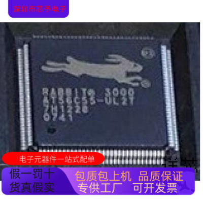 RABBIT3000全新原装 原厂渠道 咨询下单 保证质量