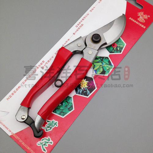 黄金马红铁柄修枝剪 园林剪刀园艺剪树枝剪整枝剪园林园艺工具