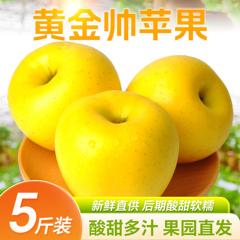 正宗新鲜黄金帅苹果现货鲜果黄香蕉元帅整箱包邮水果当季软糯酸甜,水产肉类/新鲜蔬果/熟食,苹果,淘宝优惠券,粉丝福利购,淘宝优惠卷