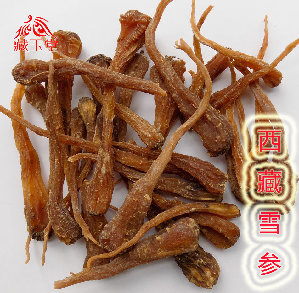 西藏特产藏雪参50克 藏血参雪人参玉人参红毛阳参刺参 传统滋补