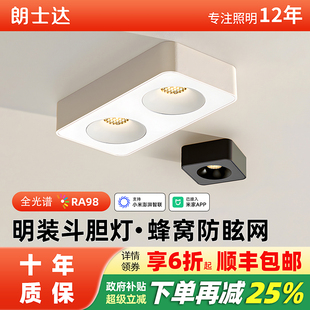 明装 筒射灯全光谱超薄无吊顶极简无主灯客厅 斗胆灯防眩123头明装