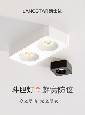 朗士达23头明装斗胆灯全光谱超薄