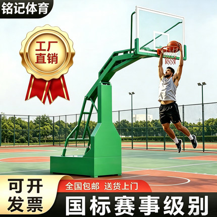 专业标准篮球架户外成人可升降比赛篮球架青少年移动室外蓝球框架