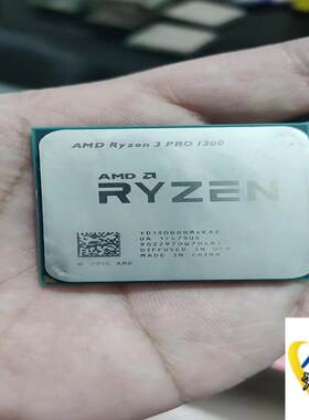 AMD R3 PRO 1300议价商品