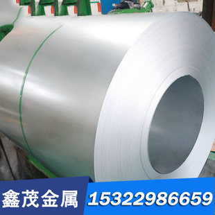 Y12CR18NI9 06CR19Ni13MO3不锈钢 薄板 卷带06CR17Ni12MO2 圆棒