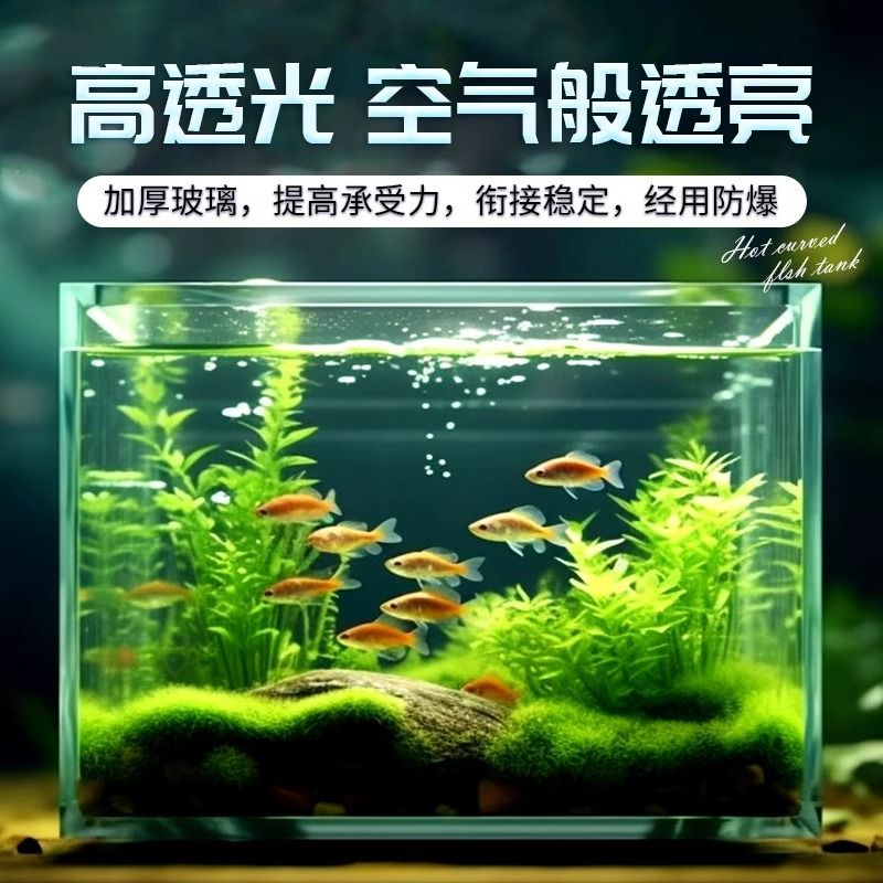 超白玻璃鱼缸家用桌面生态水草观赏鱼斗鱼乌龟缸小型玻璃缸