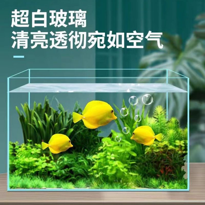 金晶超白玻璃鱼缸五线家用客厅大小型长方形水族箱水草雨林乌龟缸