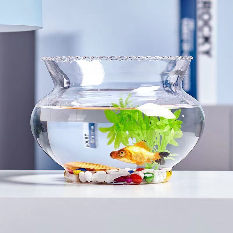 透明花边玻璃鱼缸绿植花瓶玻璃乌龟缸鱼缸小型家用桌面小摆件直销