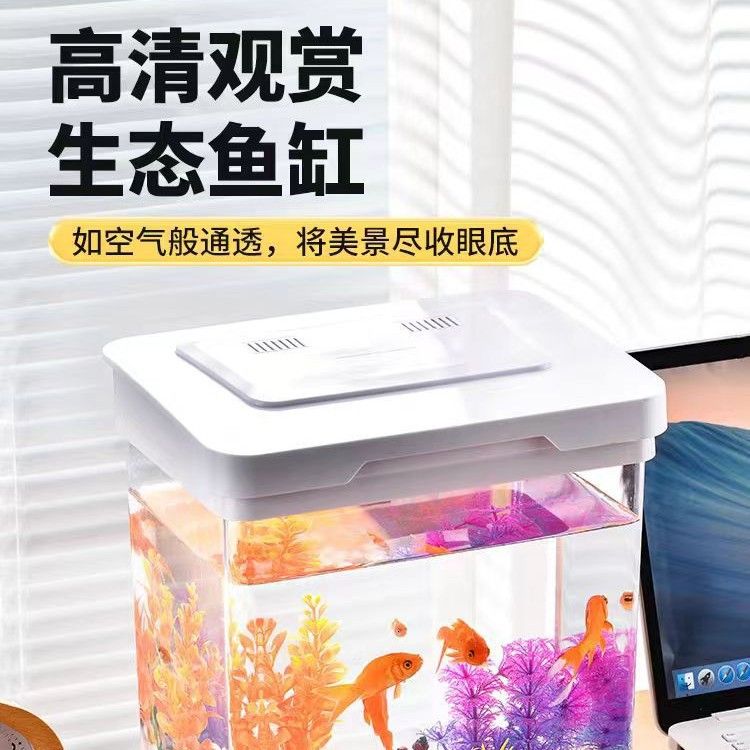 塑料水族百搭生态缸微景观缸办公室桌面鱼缸家用观赏饲养缸水族箱