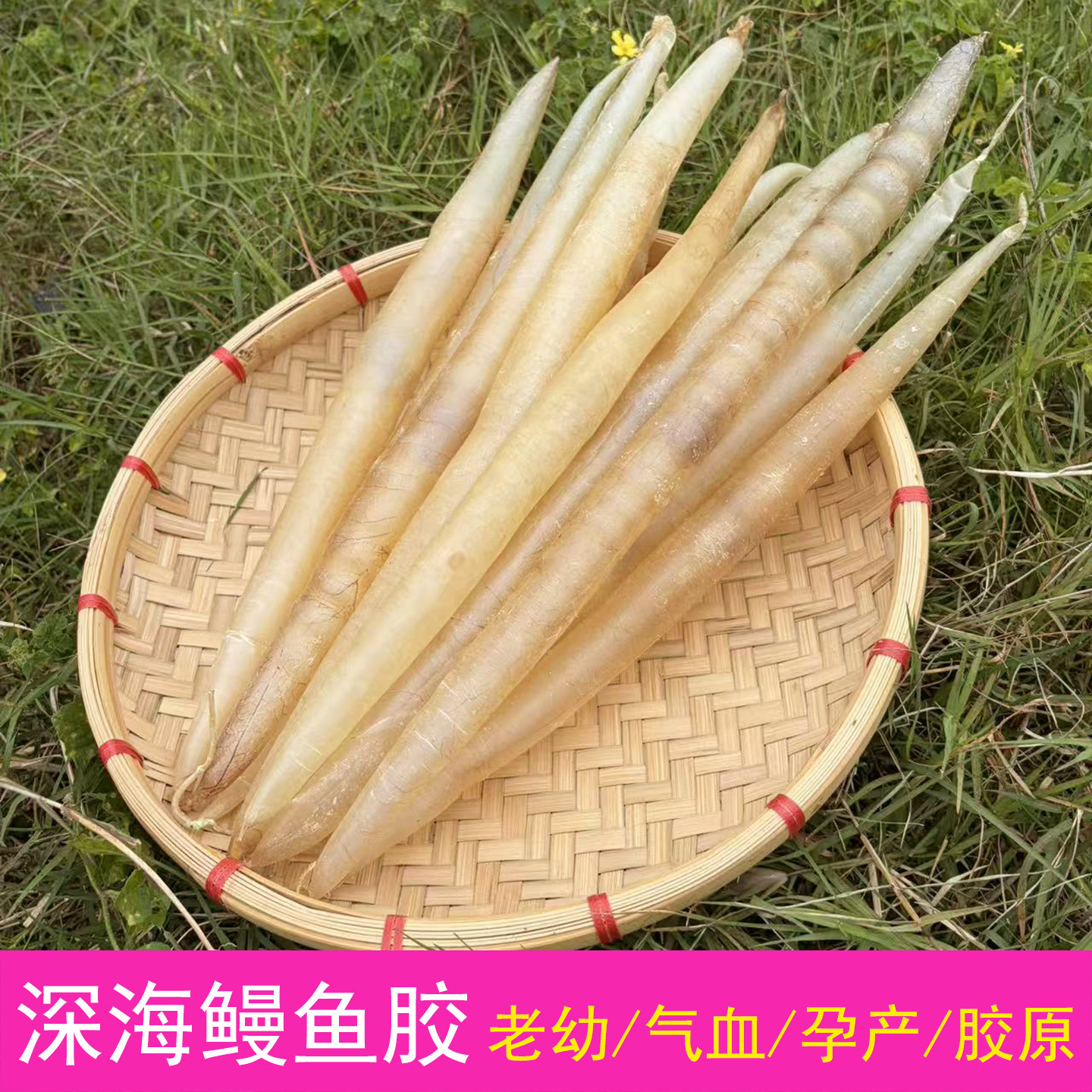 精选花胶鱼胶深海鳗鱼胶鱼鳔干货孕妇级滋补品鳝胶气血胶原蛋白